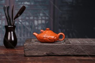 魚(yú)化龍 魚(yú)化龍