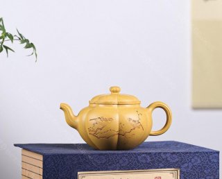 筋紋海棠 筋紋海棠