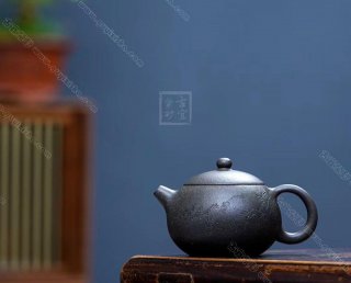 《松鼠西施》 《松鼠西施》