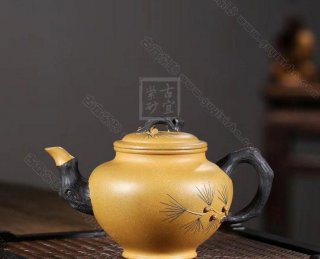 《四季常青》 《四季常青》